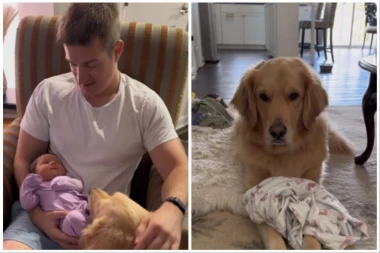 PAS JE BOJAŽLJIVO PRIŠAO BEBI: Potez ovog tate rastopio je srca, zauvek je zbližilo njegovu ćerkicu i njihovog ljubimca! (FOTO+VIDEO)