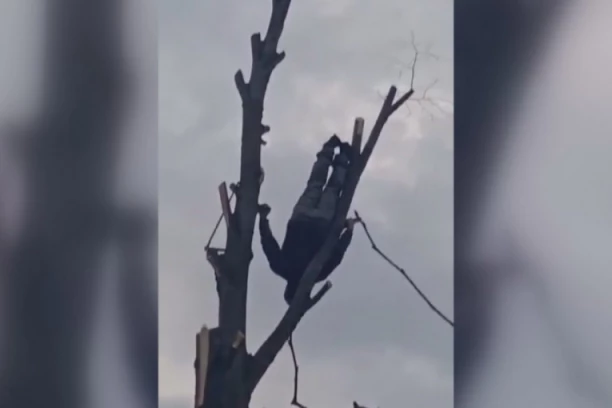 MIĆO IZ PARAĆINA IZVODI SALTO I PENTRA SE NA BANDERU U SEDMOJ DECENIJI ŽIVOTA! Živa legenda ima snagu dečkića, nema šta ne zna da uradi! (FOTO)