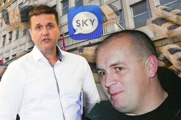 IMAO SAM ODNOSE SA JEDNOM DEVOJKOM U VREME KADA JE NIKOLAŠEVIĆU IZGOREO AUTO: Nastavljeno suđenje Darku Šariću i njegovoj kriminalnoj grupi - evo šta se dešavalo u SPECIJALNOM SUDU!