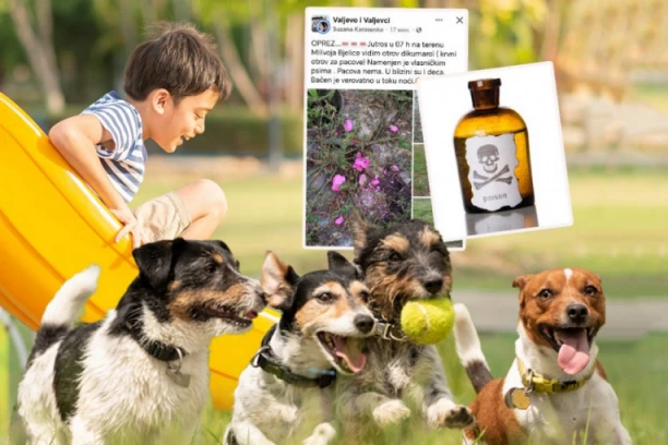 OPREZ! Po Valjevu pobacan JAK OTROV, ljudi u šoku: TU IMA I DECE! (FOTO)