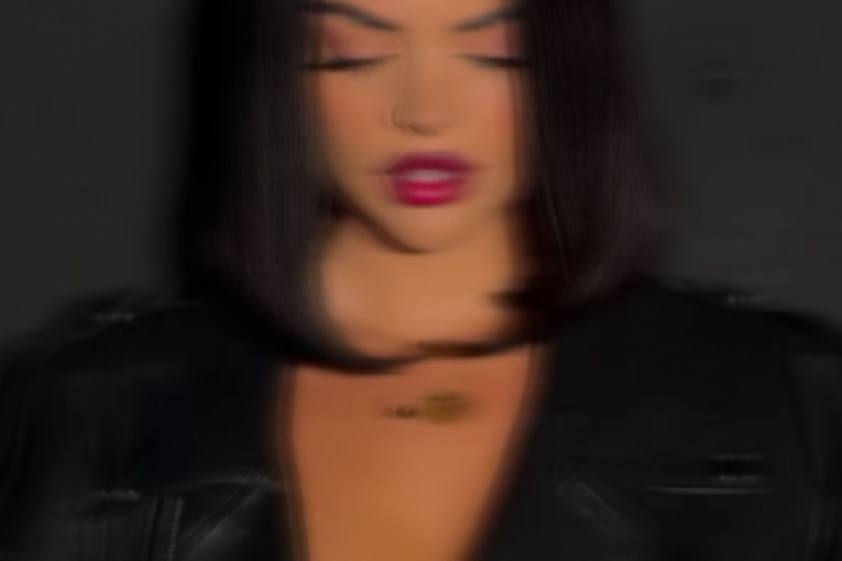 Transformacija Sofije Šašić