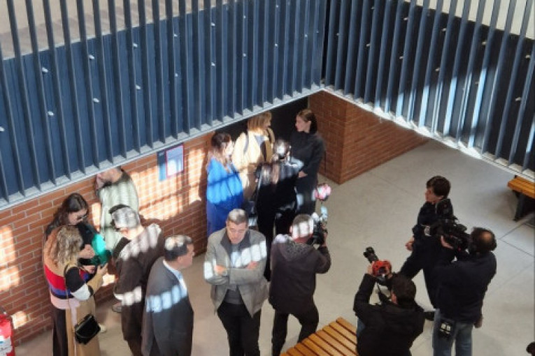 Milena Radulović suđenje Mika Aleksić