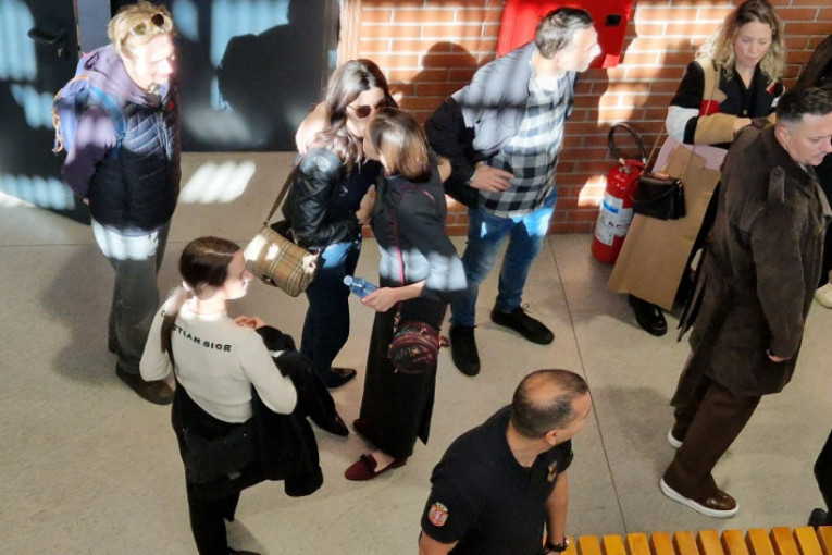 Milena Radulović suđenje Mika Aleksić