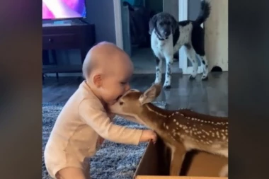 SCENA KOJA TOPI SRCA! Lane ljubi bebu, a njena reakcija je neverovatna! (VIDEO)