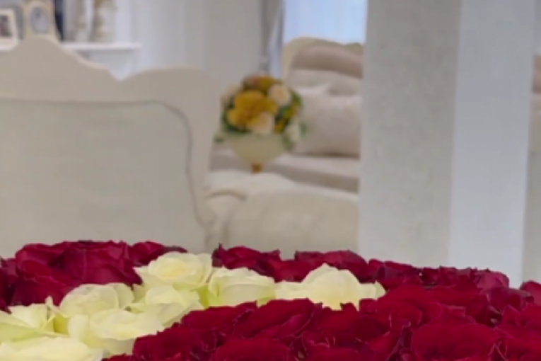 Stanija Dobrojević Instagram