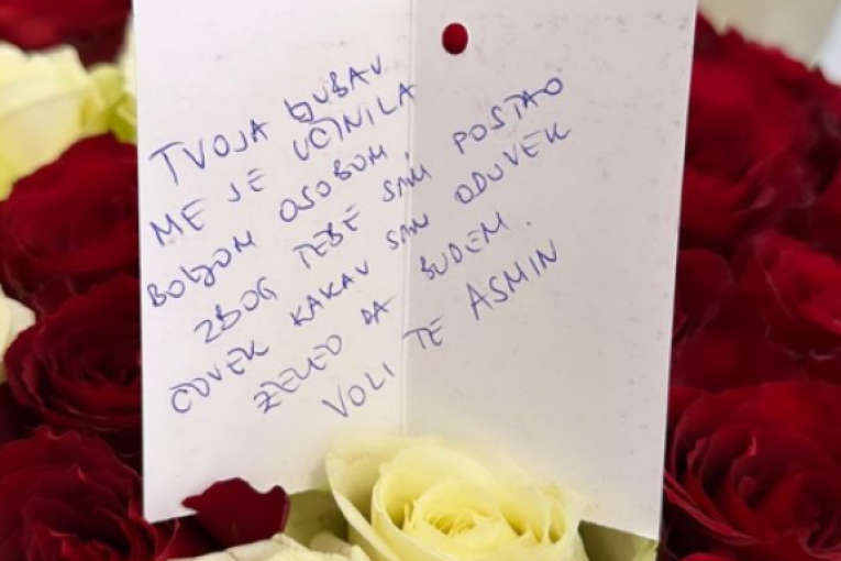 Stanija Dobrojević Instagram