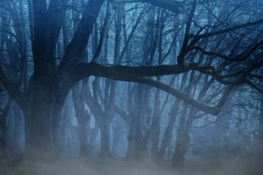 SUPERMAGLA UBILA SEDMORO LJUDI! Apokalipsa na putu, 25 povređenih, niko ne zna kako se OVO ČUDO pojavilo pred svima