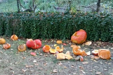 SVEŠTENIK UNIŠTIO DECI BUNDEVE PRED NOĆ VEŠTICA: Besni roditelji došli pred crkvu i napali ga, a onda je učinio nešto neverovatno