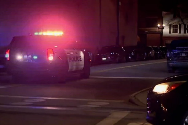 "MORAO SAM TO DA URADIM"! Unuk nasmrt izbo i pretukao babu, pa njeno telo zapalio!