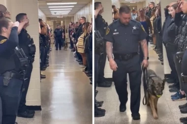 SNIMAK KOJI KIDA DUŠU: Emotivan ispraćaj bolesnog policijskog psa rasplakao sve na mrežama ! (VIDEO)