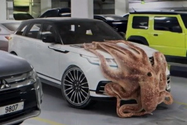 SCENA ZBOG KOJE ĆETE U NEVERICI TRLJATI OČI: Hobotnica opkolila automobil, vlasnik izbezumljeno posmatrao sa strane! (VIDEO)