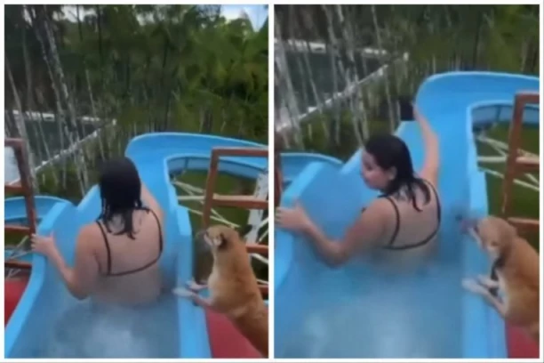 PRIPREMALA SE ZA VELIKI SPUST TOBOGANOM, ALI JE NJEN PAS BIO VIDNO UZNEMIREN: Nikako nije želeo da je pusti samu, a onda je uradio nešto što je zapanjilo sve! (FOTO+VIDEO)