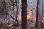 MEĐU STRADALIMA BEBA I DVOJICA BIZNISMENA! Svi živi izgoreli! Velika tragedija, 12 mrtvih u padu aviona iznad džungle! (VIDEO/FOTO)