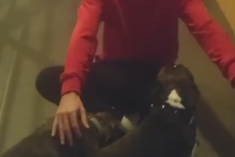 Ana Ćurčić Instagram Bane Đokić