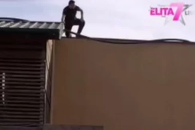 BEBICA POBEGAO IZ ELITE: Preskočio ogradu nakon svađe sa Miljanom!