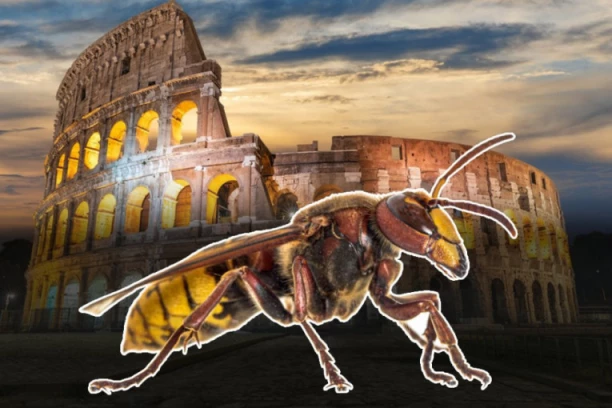 JEZIVA TRAGEDIJA POGODILA RIM! Na čoveka se okomilo JATO stršljenova, skončao u mukama: Grad preduzeo mere!