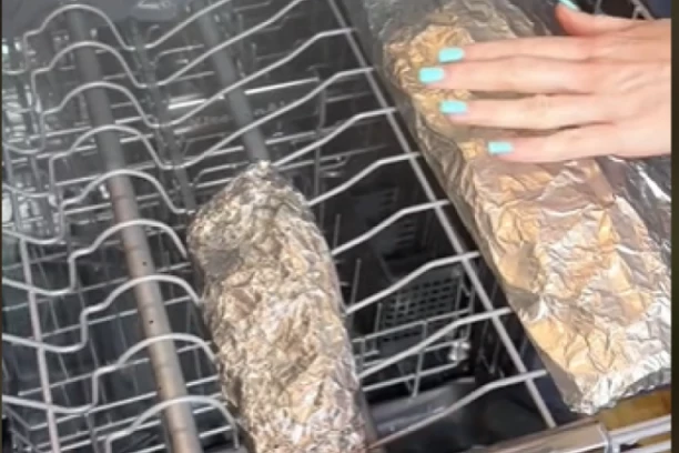 ONA KUVA U MAŠINI ZA SUDOVE: Samo podesite na OVAJ ciklus pranja i napravi duplo ukusnije jelo!