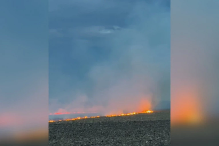 UŽAS NA MAGISTRALNOM PUTU BEOGRAD - VRŠAC: Požar nekontrolisano guta nisko rastinje, vozači jedva vide kroz gust dim! (FOTO)