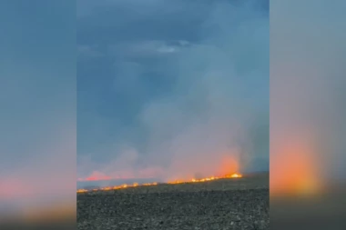 UŽAS NA MAGISTRALNOM PUTU BEOGRAD - VRŠAC: Požar nekontrolisano guta nisko rastinje, vozači jedva vide kroz gust dim! (FOTO)