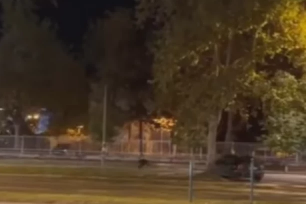 "NE BIH VOLELA DA GA SRETNEM NA ULICI"! Šta se ovo dešava u Novom Sadu? Ljudi u strahu! (VIDEO)