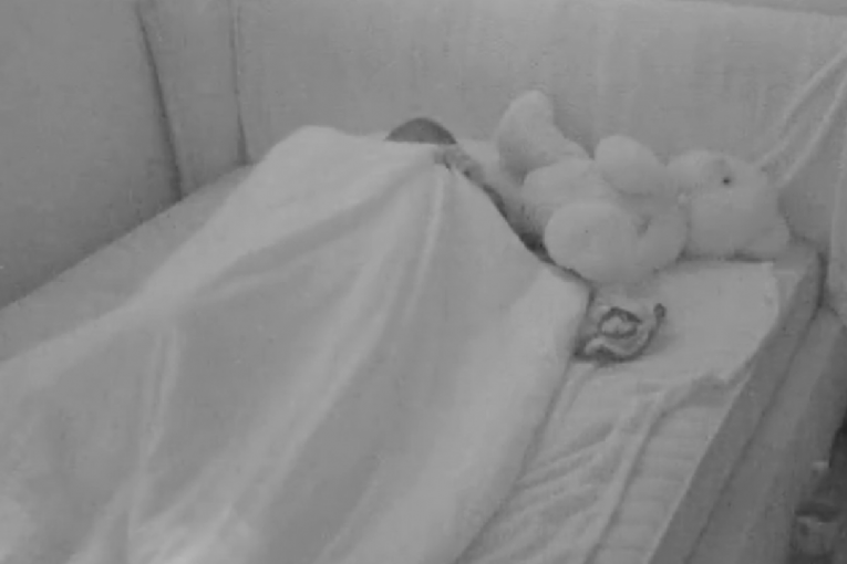 Elita Zadruga 7 vrela akcija Nikola Bukilić i Teodora Balzak