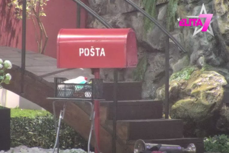 Veliki šef Zadruga 7 Elita