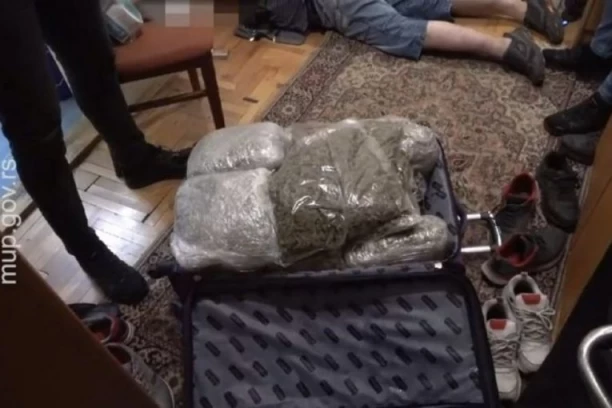 UHAPSILI NAŠU PEVAČICU, POLICIJA JOJ NAŠLA DROGU: Zbog LAGANJA na sudu zatvorili je  sa 18 godina u ZATVOR!