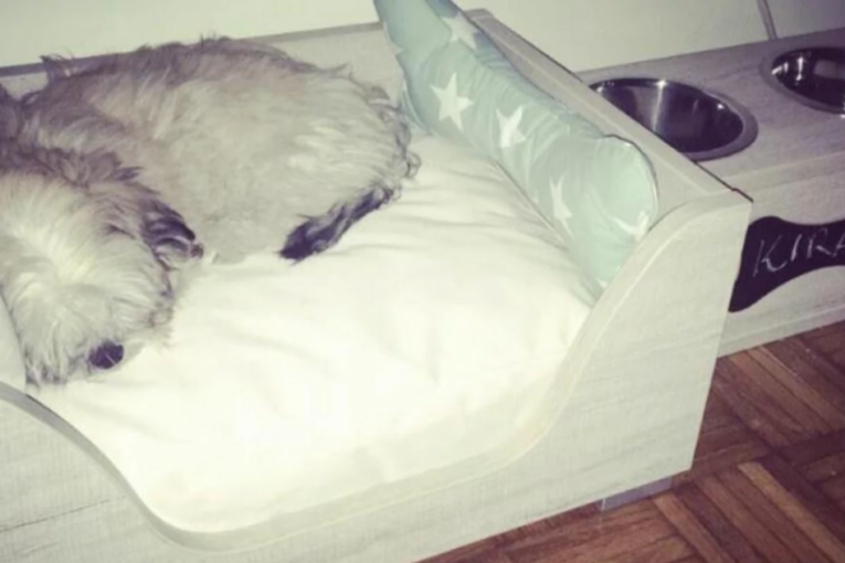 Dušica Jakovljević instagram