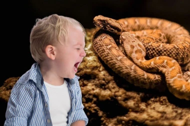 DEČAK (2) NAGAZIO NA ZMIJU U PARKU U NIŠU! Odustalo se od potrage za njom, građani u panici!