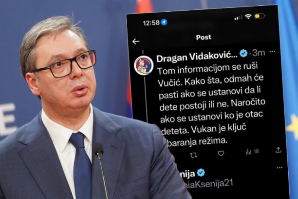 POSLE MAJKE I OCA I VUKAN DOŠAO NA RED: Besramni napadi opozicije na šestogodišnjeg sina predsednika: Da li to dete postoji? Ko mu je otac? Rušite Vučića preko dece!