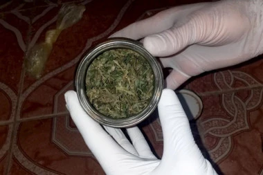 PAO DILER IZ ALEKSINCA! Evo šta je policija sve pronašla u stanu - krio i SEME MARIHUANE! (FOTO)