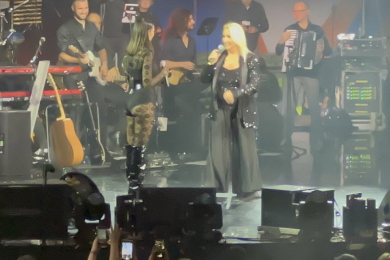 Aleksandra Prijović i Vesna Zmijanac