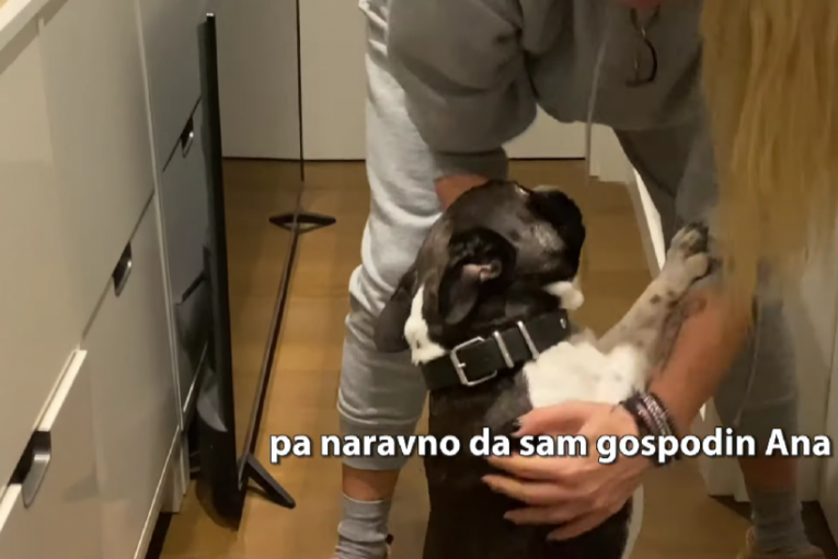 Toni, ljubimac Ane Ćurčić