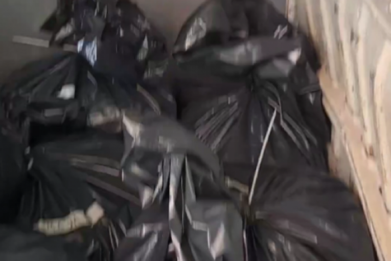 Taki Marinković Instagram