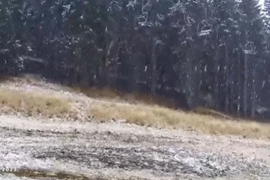 HOĆEMO LI USKORO NA SKIJANJE NA KOPAONIK? Pao sneg na omiljenoj srpskoj planini - stvara se i beli pokrivač! (FOTO, VIDEO)