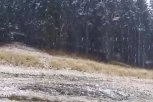 HOĆEMO LI USKORO NA SKIJANJE NA KOPAONIK? Pao sneg na omiljenoj srpskoj planini - stvara se i beli pokrivač! (FOTO, VIDEO)