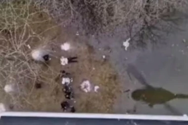 DRAMATIČAN SNIMAK SPASAVANJA MIGRANATA! Specijalci se spuštaju iz helikoptera u Hrvatskoj