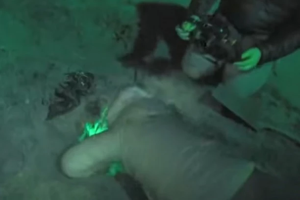 DA LI JE MOGUĆE? Naučnici posadili 144 godina staro seme ZOMBI BILJKE i evo ŠTA SE DOGODILO