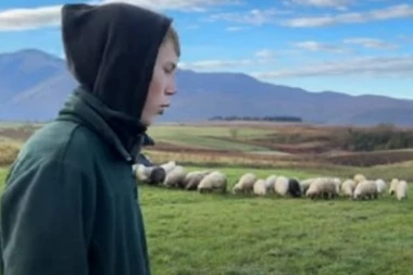 SVOJE OVCE VOLI VIŠE OD DEVOJAKA, MOBILNI MU JE DOSADAN: Almin ima samo 16 godina i svoje stado od 150 ovaca, "NAJBOLJE JE BITI SVOJ GAZDA"
