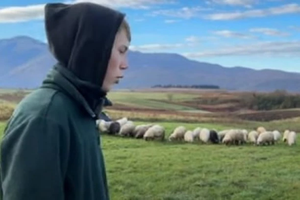 SVOJE OVCE VOLI VIŠE OD DEVOJAKA, MOBILNI MU JE DOSADAN: Almin ima samo 16 godina i svoje stado od 150 ovaca, "NAJBOLJE JE BITI SVOJ GAZDA"