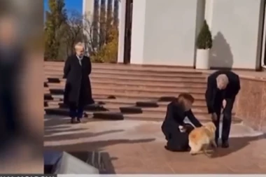 NEOBIČAN INCIDENT U KIŠINJEVU: Pas moldavske predsednice UJEO predsednika Austrije!