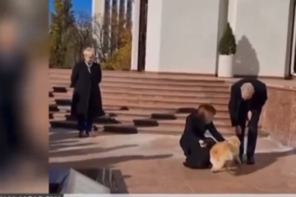 NEOBIČAN INCIDENT U KIŠINJEVU: Pas moldavske predsednice UJEO predsednika Austrije!