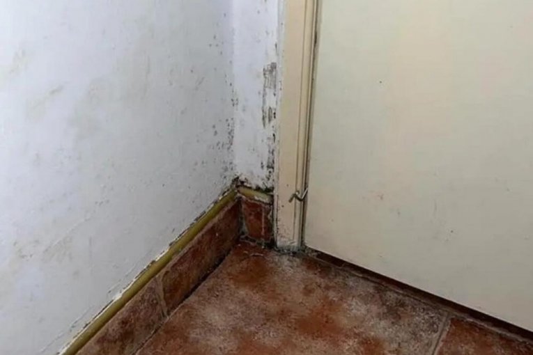 Uništeni delovi stana