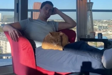 SPASIO JE BOLESNOG MAČKA IZ AZILA: Nije ni slutio šta će mu uraditi posle samo 6 meseci! (VIDEO)