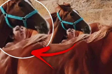 INFLUENSERKU PREGAZILO KRDO KONJA! Uznemirujući snimak ledi krv u žilama (VIDEO)