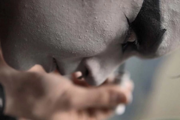 Sedam domaćih i regionalnih ostvarenja na 15. filmskom festivalu Merlinka