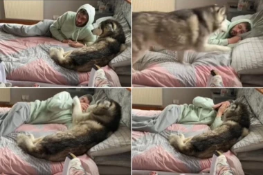 HASKI JE UPORNO BUDIO VLASNIKA: Razlog njegovog ponašanja uznemirio bi svakog roditelja! (VIDEO)