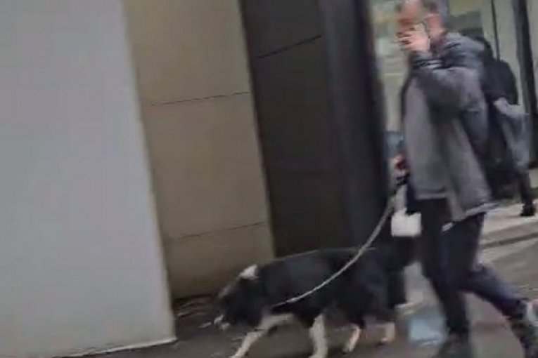 Nela Karajlić paparaco