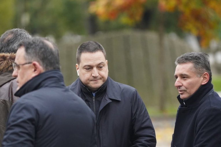 Ana Bekuta pomen Milutin Mrkonjić