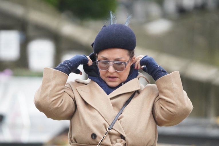 Ana Bekuta pomen Milutin Mrkonjić